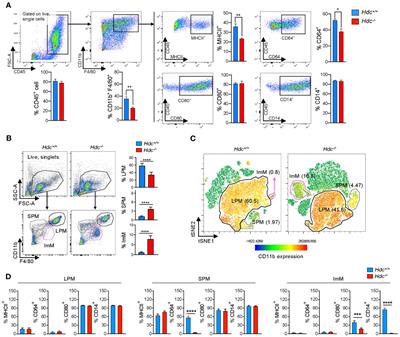 Role of histamine-mediated macrophage differentiation in clearance of metastatic bacterial infection